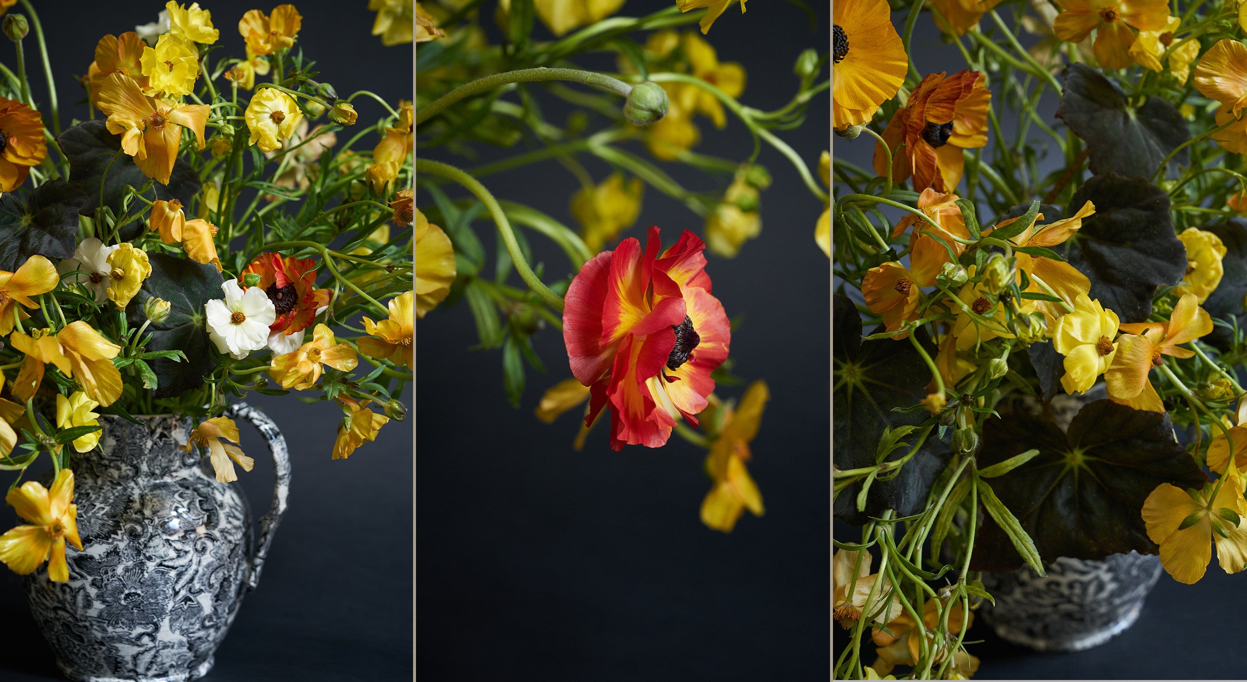 &laquo; Ce sont des bulbes et des fleurs que l&rsquo;on ne voit pas vraiment dans les jardins, mais au d&eacute;but de la saison, ils vous font anticiper l&rsquo;arriv&eacute;e du printemps. Se retenir et attendre avec impatience une plante qui n&rsquo;est pas de saison, c&rsquo;est un vrai plaisir. Nos compositions doivent refl&eacute;ter notre paysage. Les proportions de ses coupes et carafes sont simples et leurs dimensions s&rsquo;accordent parfaitement &agrave; un int&eacute;rieur. Vous pouvez r&eacute;aliser cet arrangement &agrave; une &eacute;chelle un peu plus grande si vous le souhaitez, mais il fonctionnera tr&egrave;s bien sur un &icirc;lot de cuisine ou sur un meuble de rangement. &raquo;